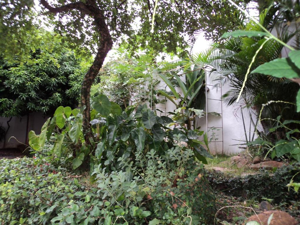 Iguassu Central Flats Foz do Iguacu Ngoại thất bức ảnh
