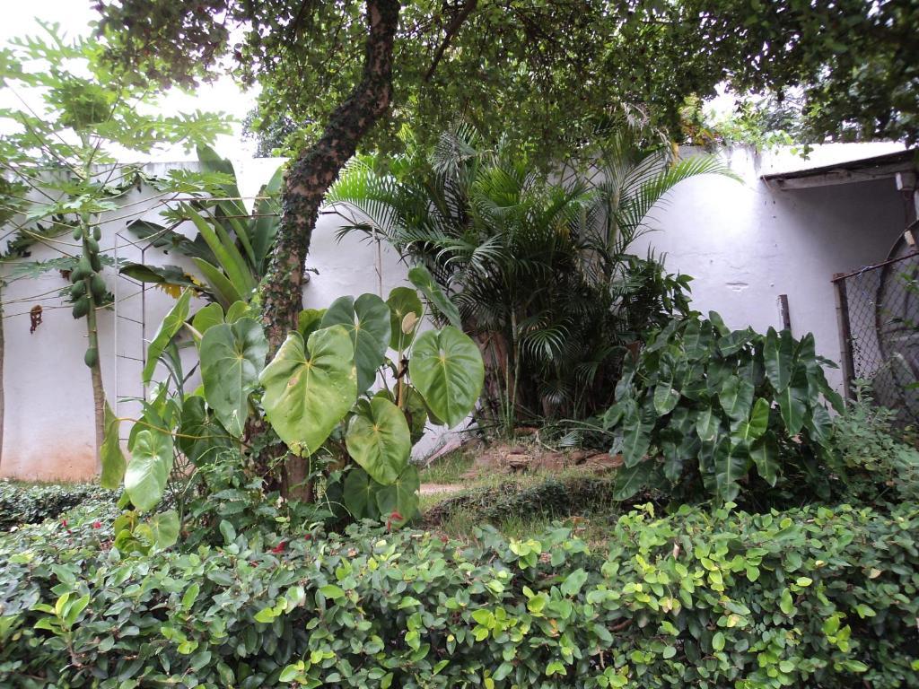 Iguassu Central Flats Foz do Iguacu Ngoại thất bức ảnh
